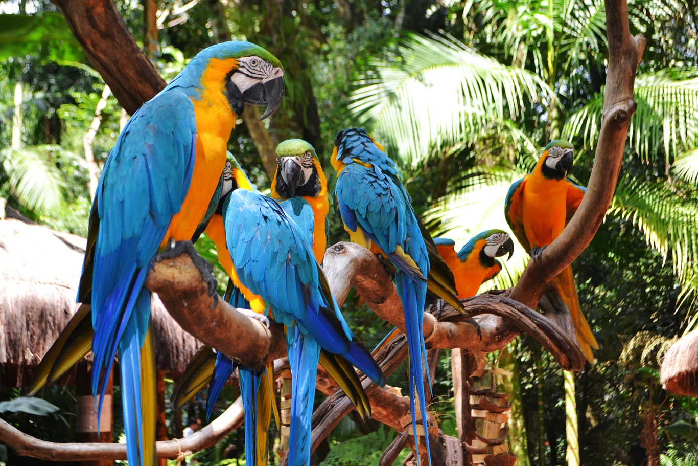 Foz de Iguazú
